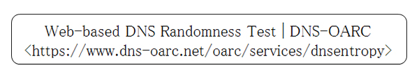 Web-based DNS Randomness Test